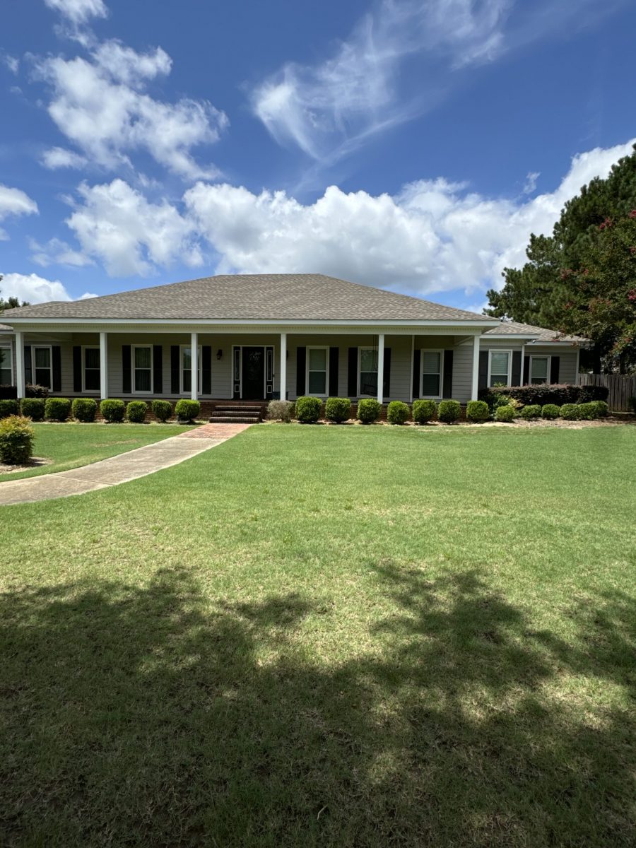 Front (After) Preview Image 5