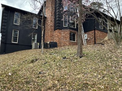 house exterior with brick and black painted siding