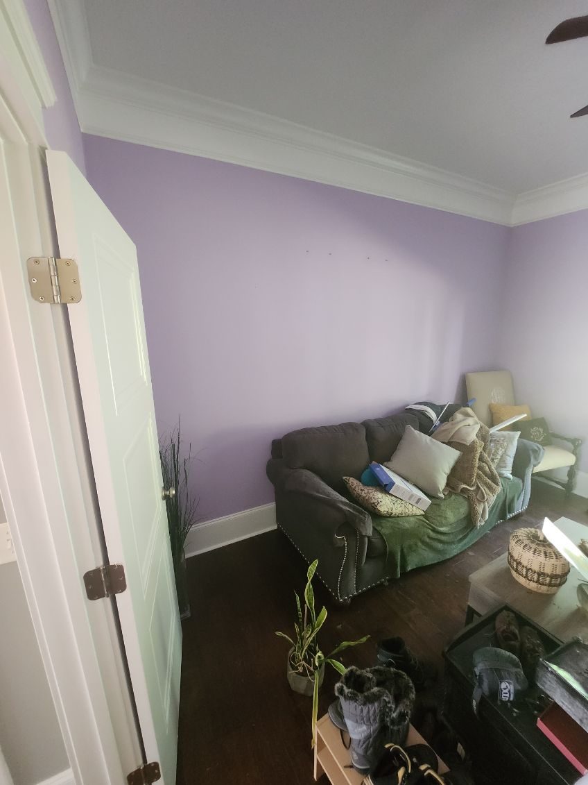 Residential Painting Project Preview Image 16