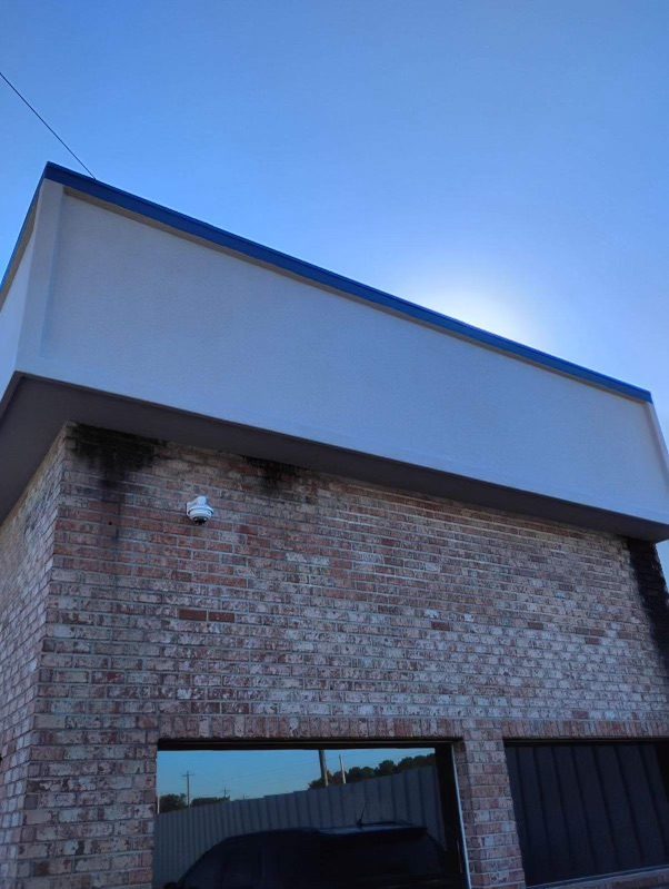 NEW RIGHT Preview Image 2