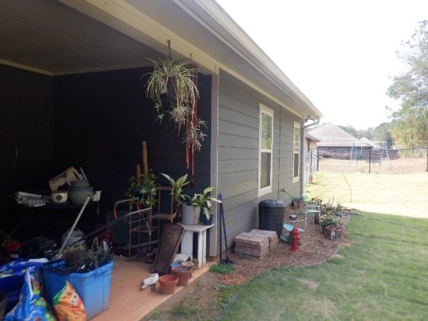 OLD REAR Preview Image 8