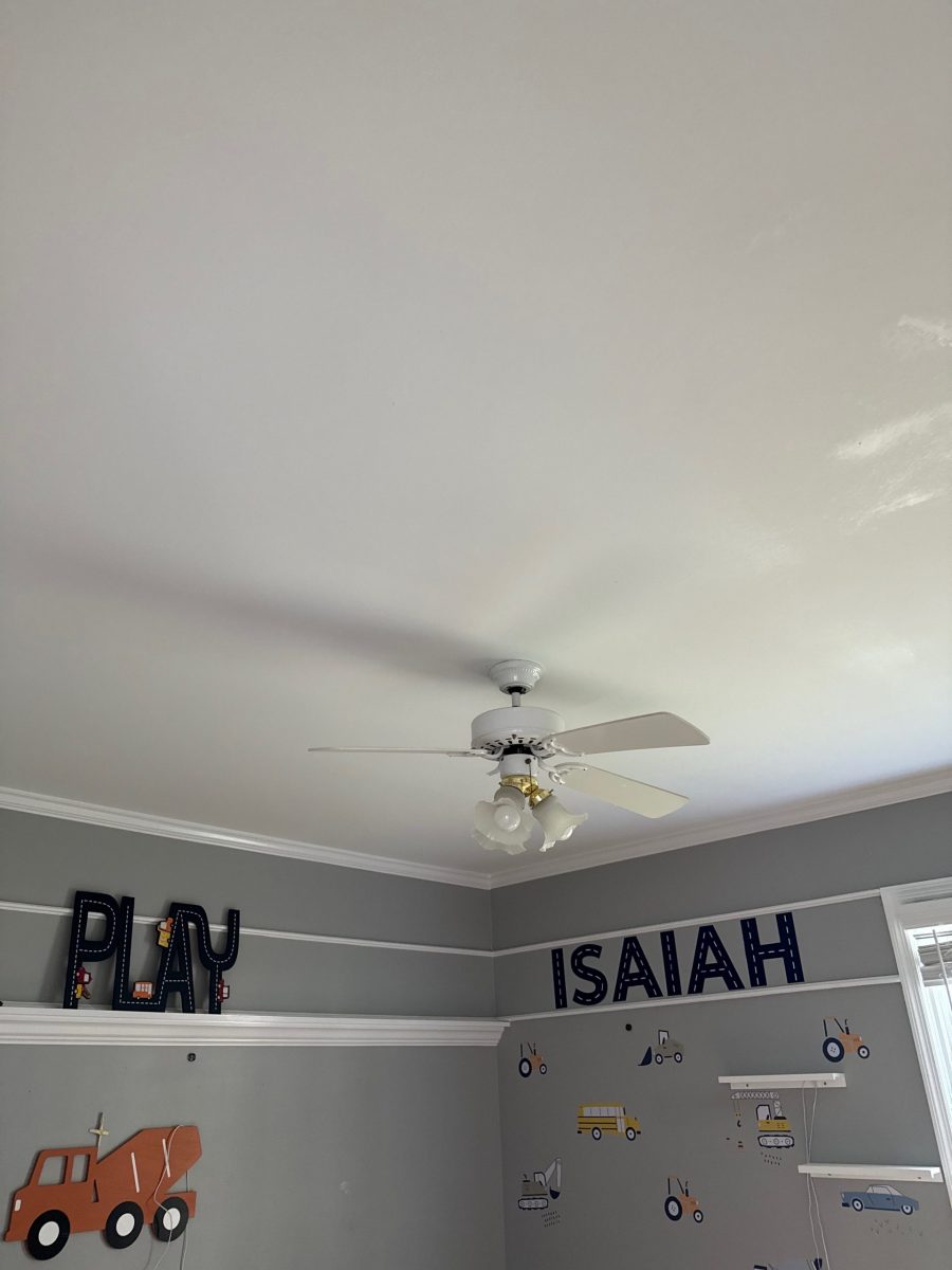 bedroom ceiling with ceiling fan Preview Image 2