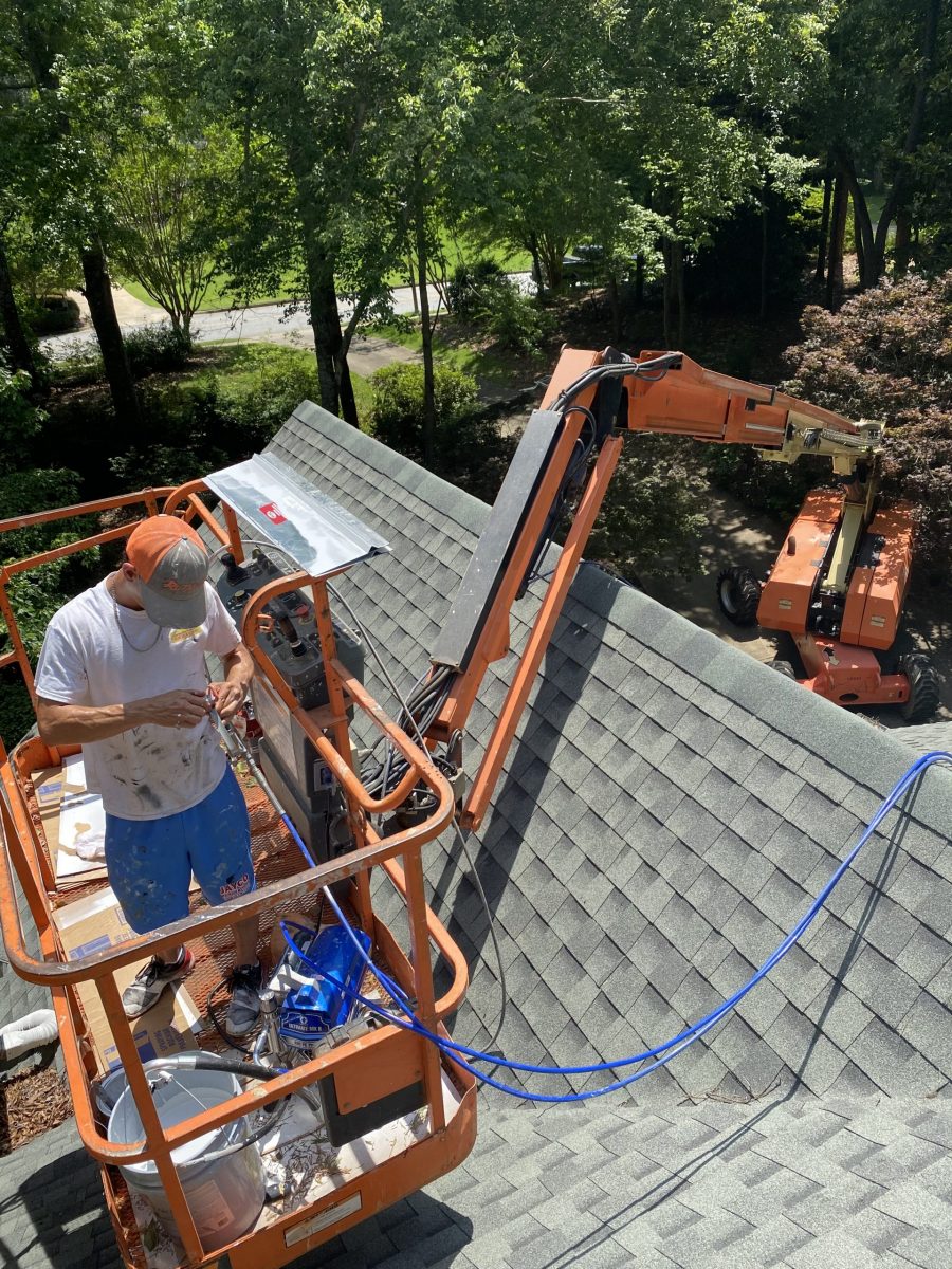 lift painting project auburn Preview Image 1