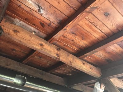 Callaway Gardens Pine Mountain