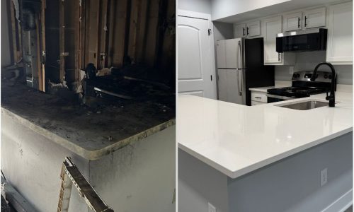 Fire Unit Demo and Rehabilitation Case Study