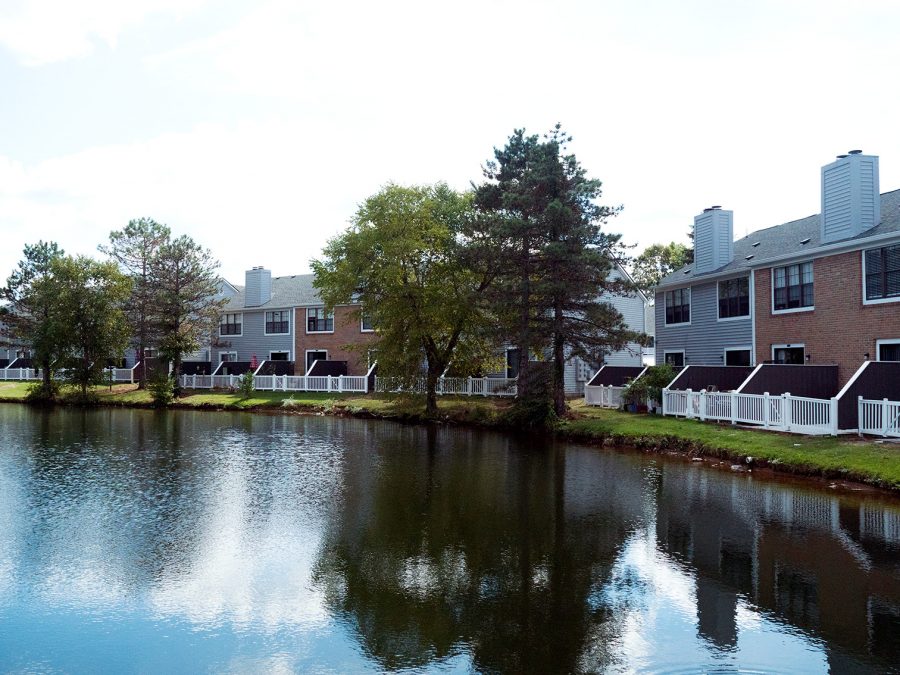 Apartment Painting Preview Image 20