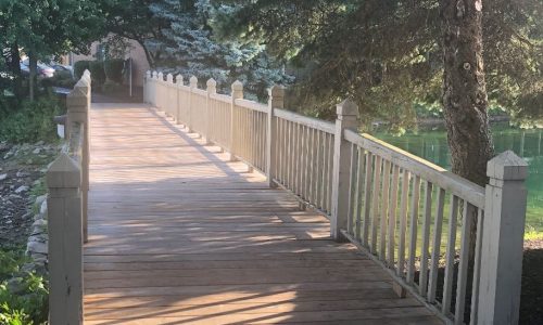 Community Structures