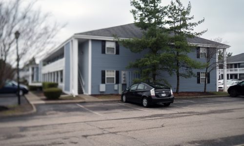 Pierpont Apartment Painting