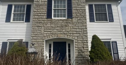 Shutter & Door Exterior Painting