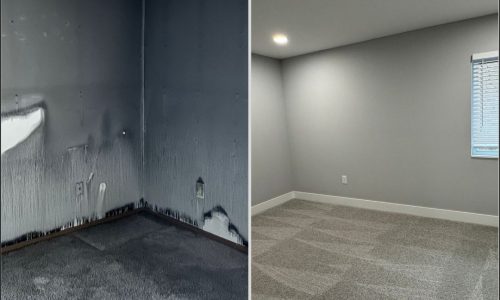 Fire Unit Demo and Rehabilitation Case Study