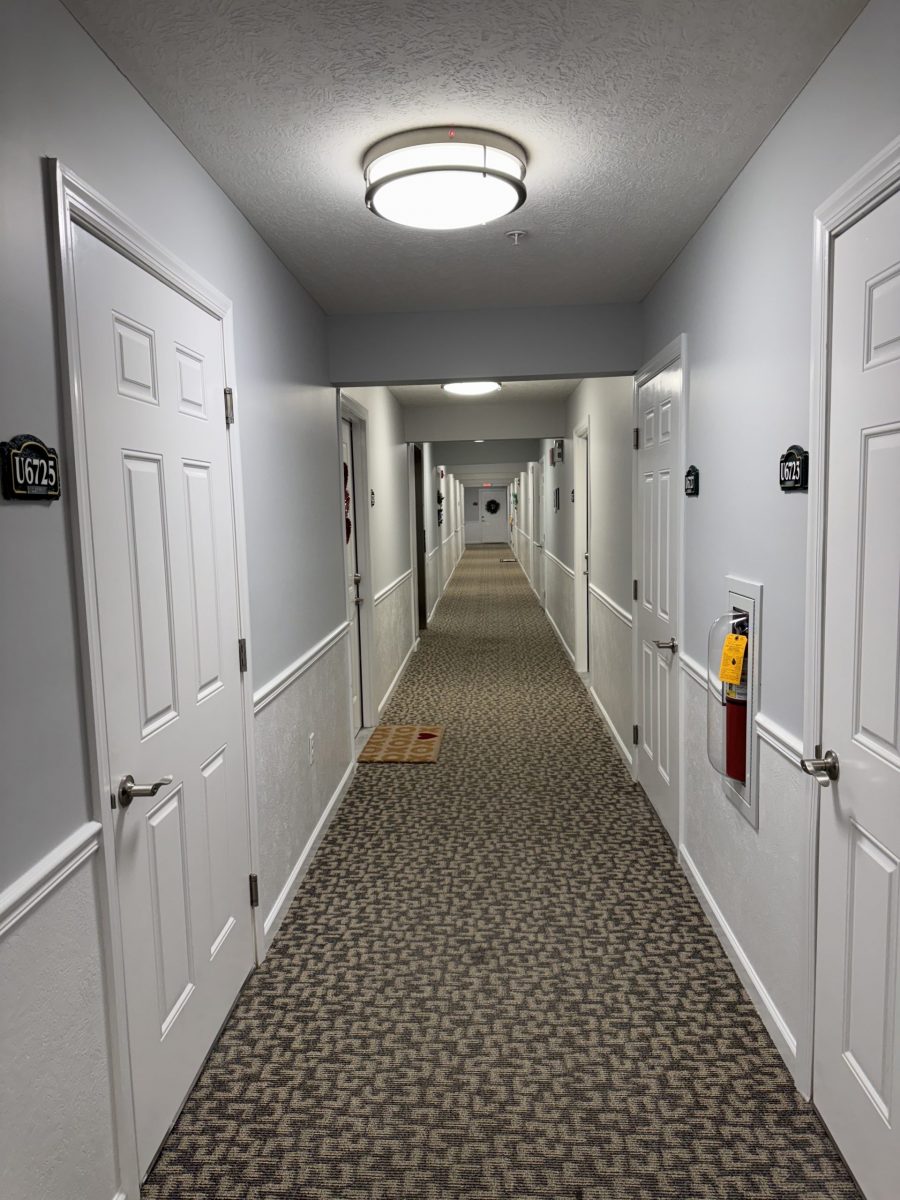 painted apartment hallway Preview Image 4