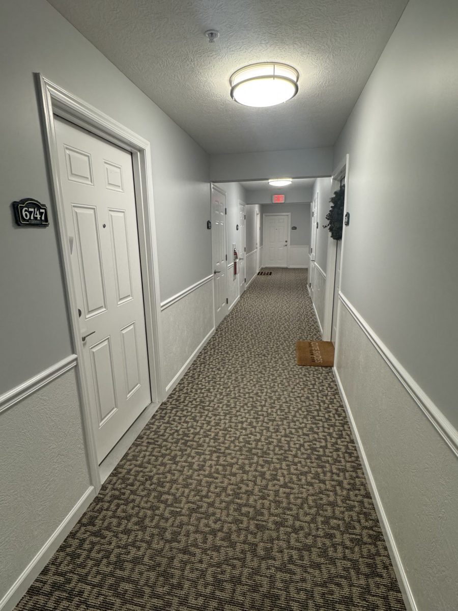 painted apartment hallway Preview Image 5