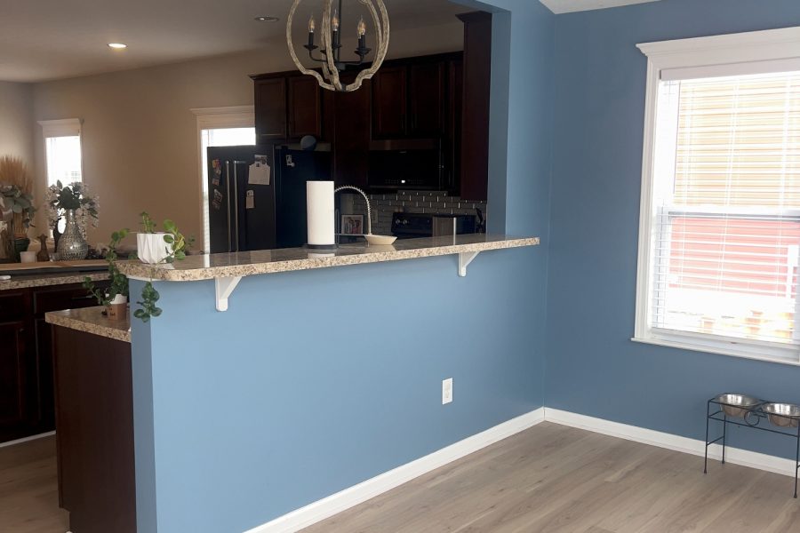 Johnstown interior makeover before photo of living room Preview Image 3