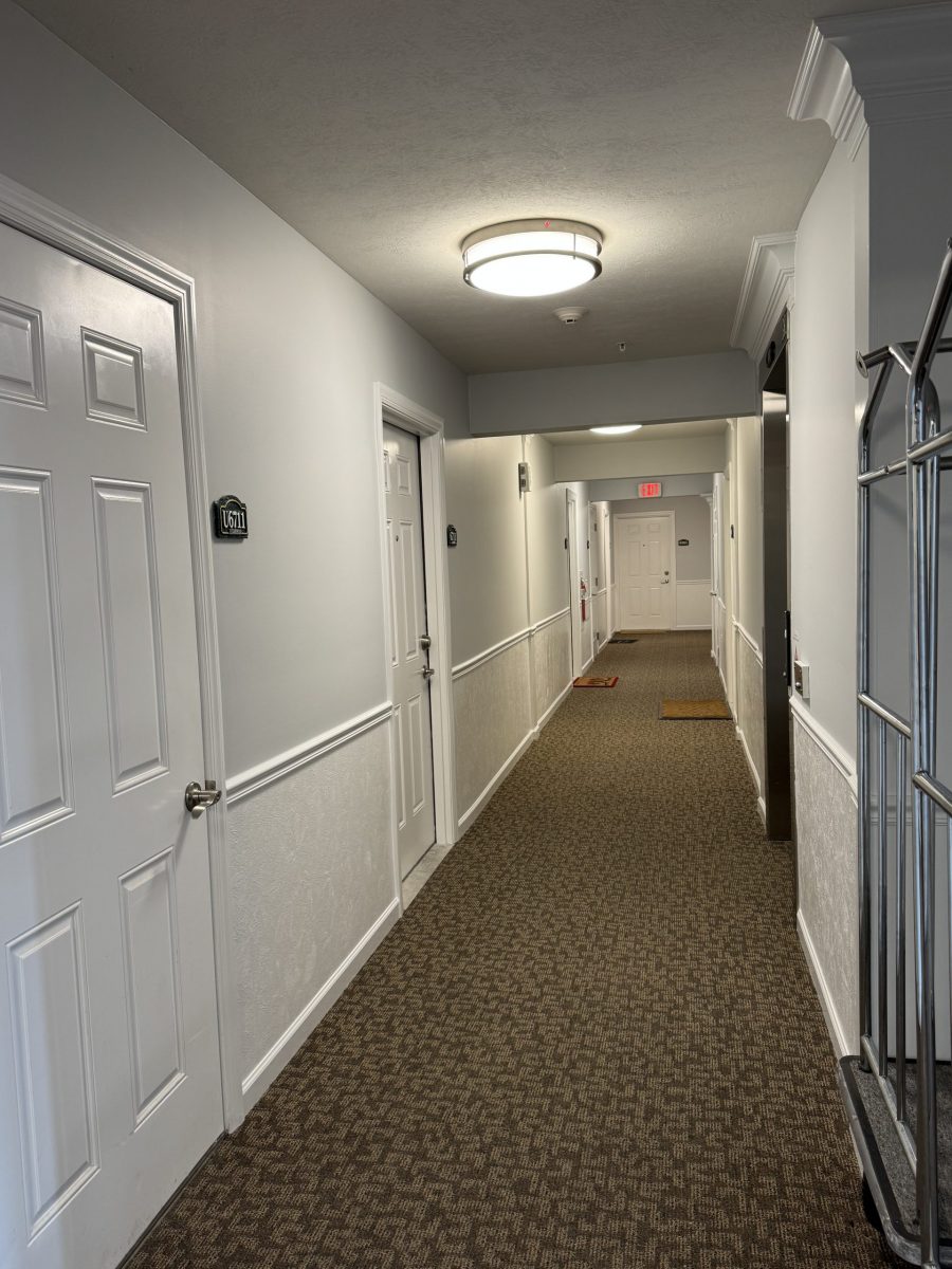 painted apartment hallway Preview Image 2