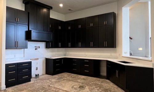 Kitchen Painting in TriCorn Black SW6258