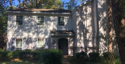 Brick Home Limewashing