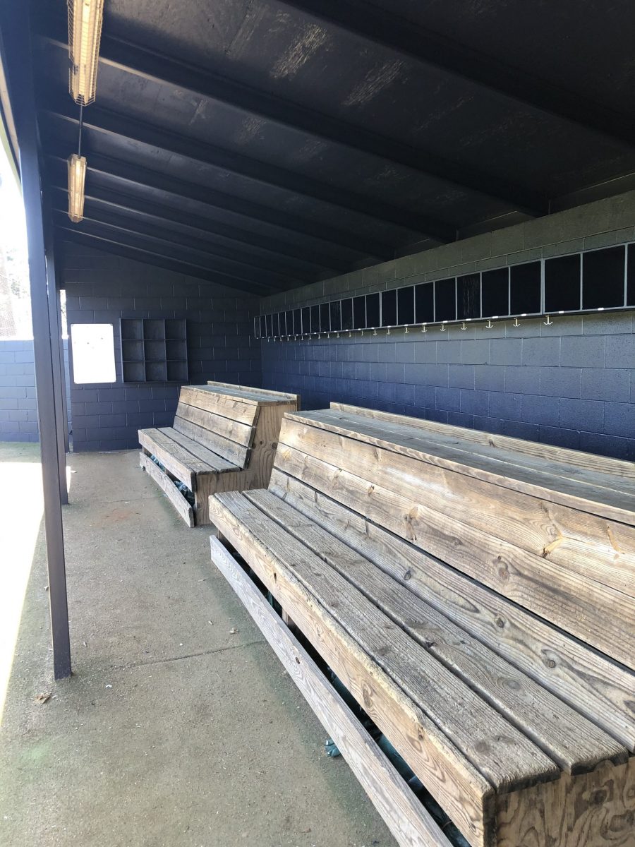 commercial painting cypress Preview Image 4