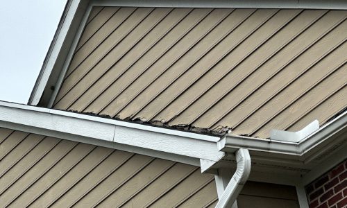 Wex On the Green Apartment Community Exterior Paint Refresh - Before