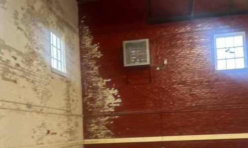 Deteriorated Paint