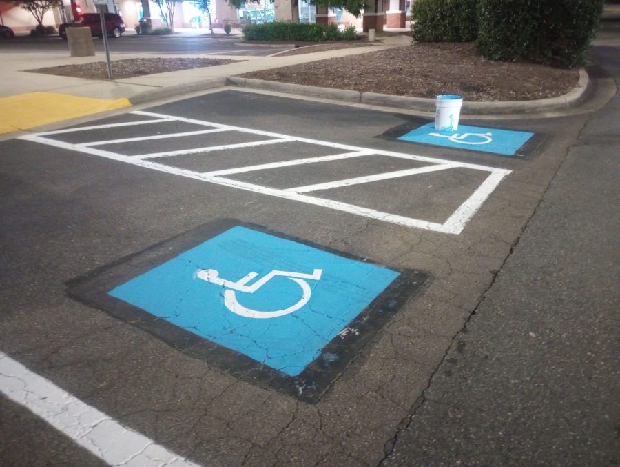 Line Striping Preview Image 4