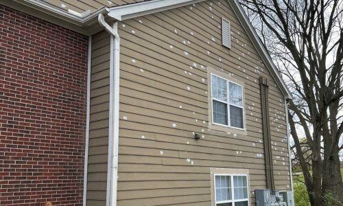 Wex On the Green Apartment Community Exterior Paint Refresh - During
