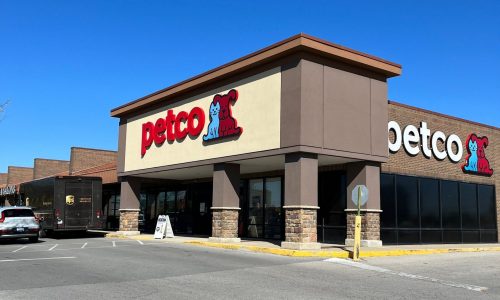 Before the Transformation