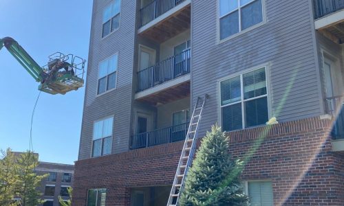 Painting in Progress