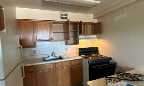 Kitchen Before Renovation