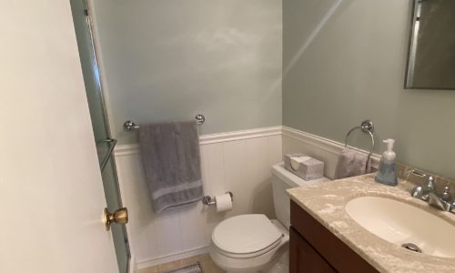 Bathroom Painting