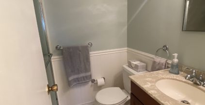 Bathroom Painting
