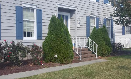 Lewes Exterior Painting