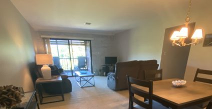 Living Room Painting