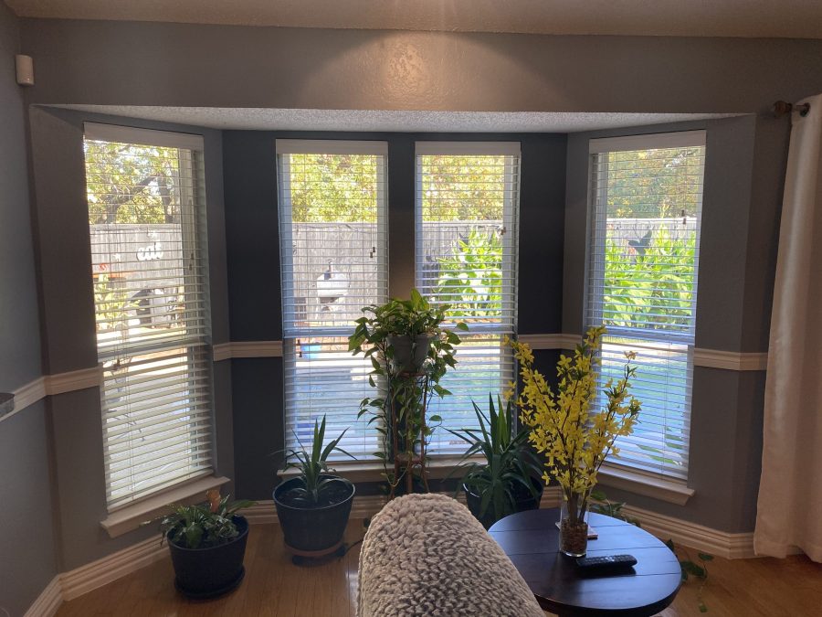 Bay window interior repainted Preview Image 1