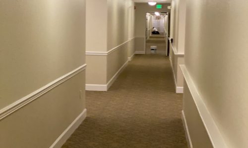 Painting in Progress