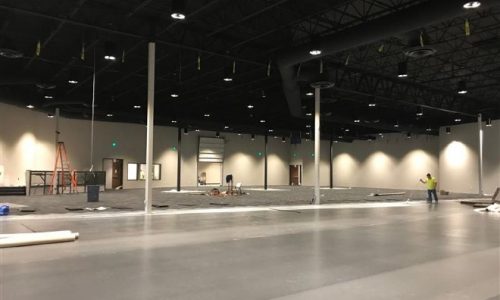 Wall and Ceiling Renovation