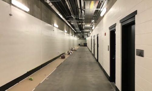 The Path to the Dugout