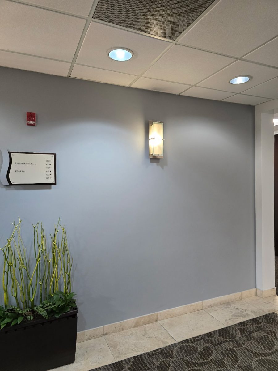 painted office lobby wall Preview Image 6