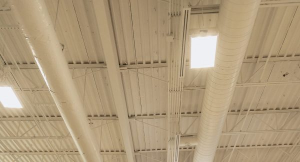 VASA Fitness Interior Repaint and Wet Area Restoration