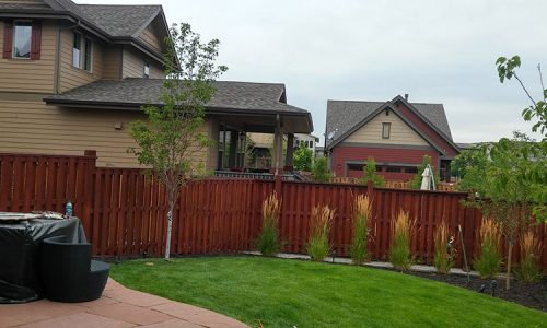 Fence Staining in Stapleton