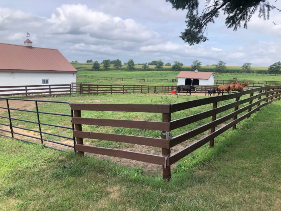 Fence & Deck Repair Preview Image 1