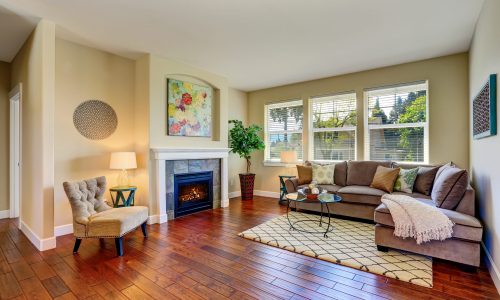 Living Room Interior Painting