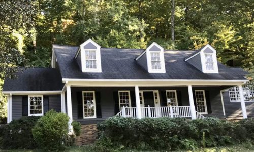 Vinyl Siding Painting