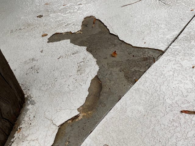 concrete pool deck repair in sandy springs before 3 - certapro painters of dunwoody Preview Image 3