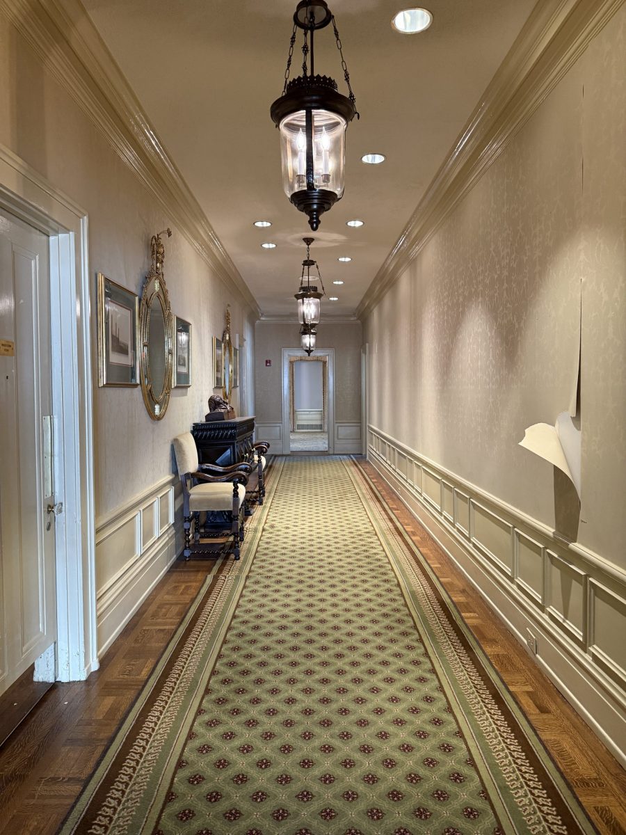 country club wall with tear in wallpaper Preview Image 9