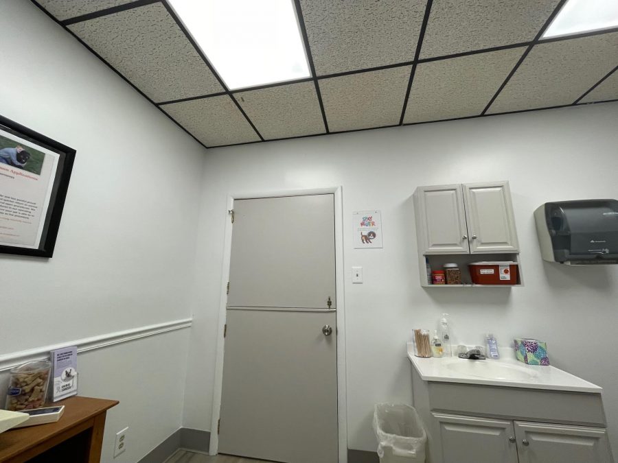 Interior painting for animal hospital room Preview Image 3