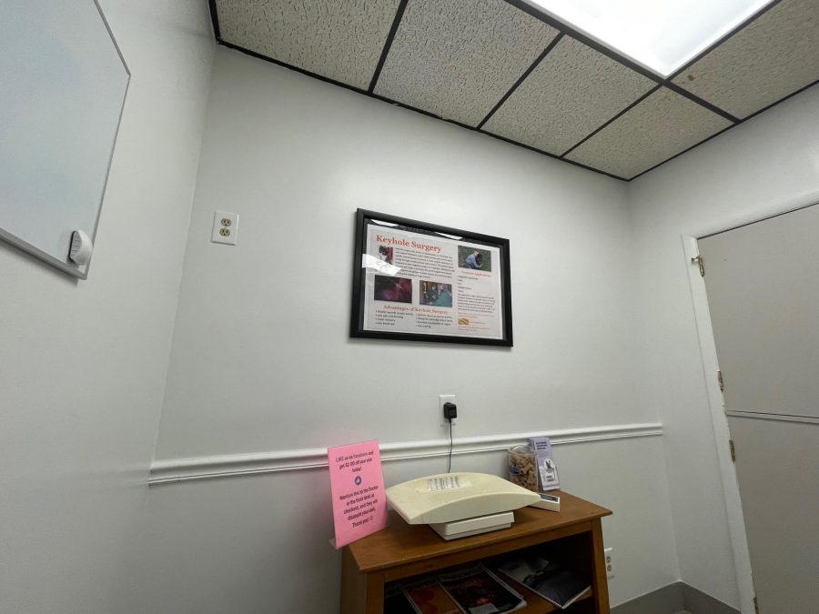 Interior painting for animal hospital room Preview Image 2