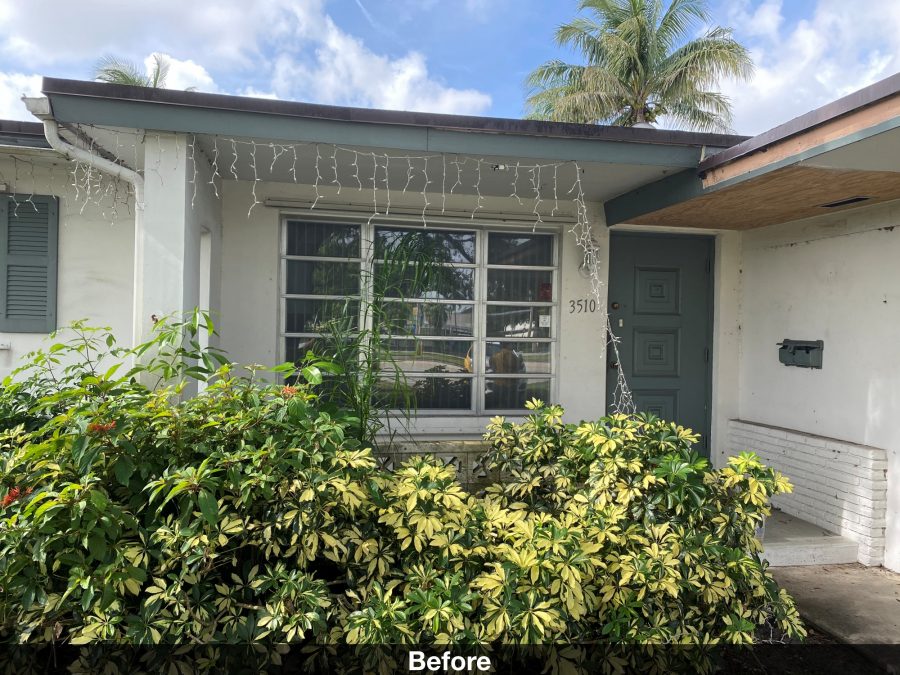 Window before repainting Preview Image 4