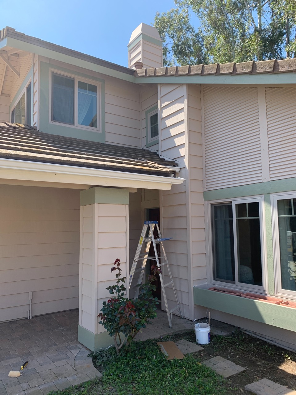 painting project in Scripps, California