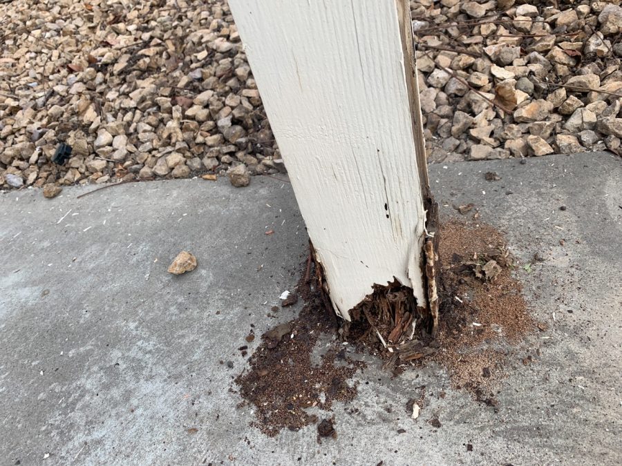 Rotten pergola support before being replaced. Preview Image 7