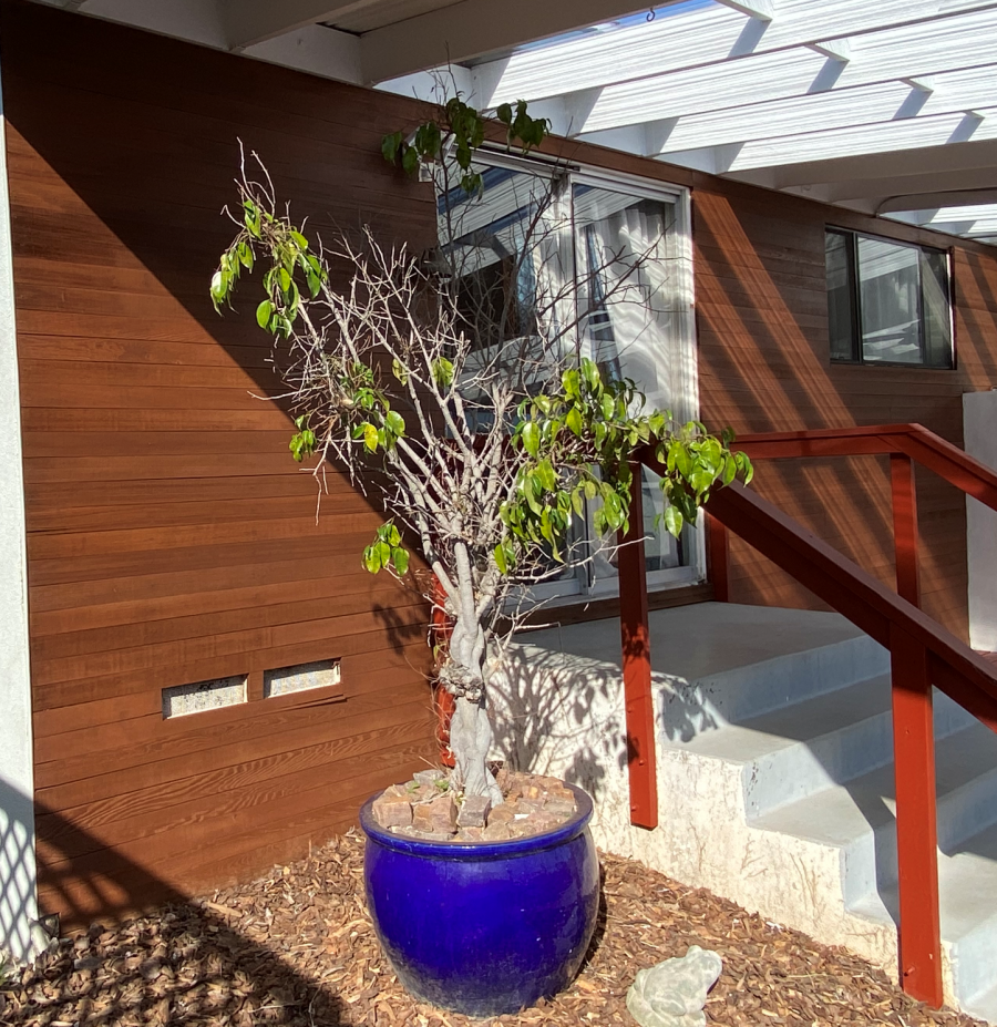 Stained Entrance in Clairemont